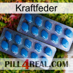 Power Spring viagra2